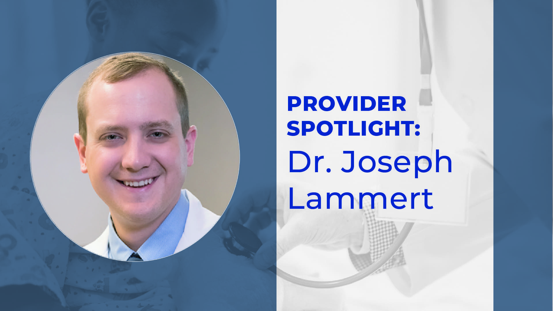 spotlightlammert